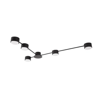 Потолочная люстра Arte Lamp TRACY A1527PL-5BK